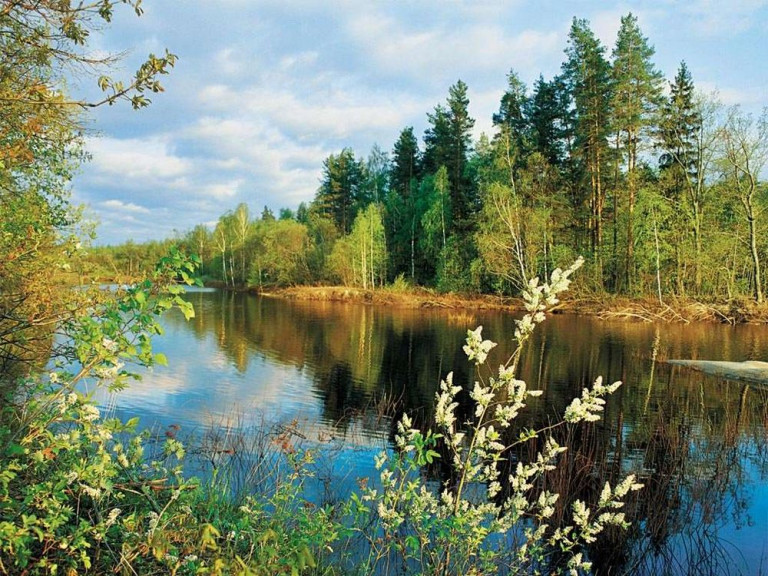 Ты собрался в дорогу...