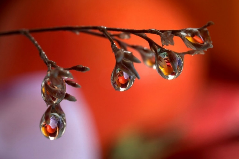 Моя нежность