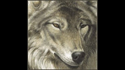 Владимир Могирев