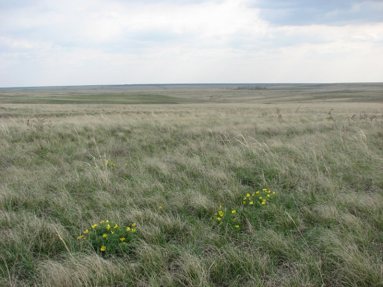 Ой, ты, степь широкая