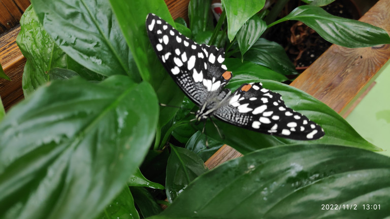 Сохрани в себе Бога, не убей в себе мир.