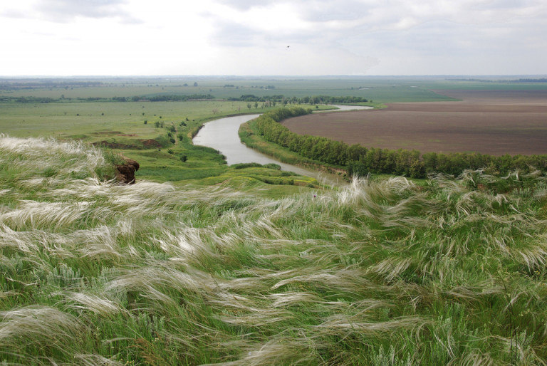 Поле Русское, поле Донское