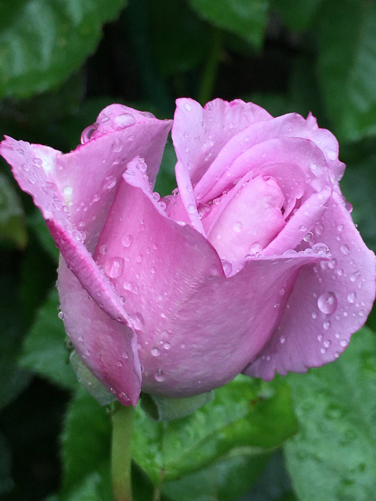 112 слов о женщине