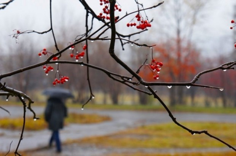 Завтра выпадет снег