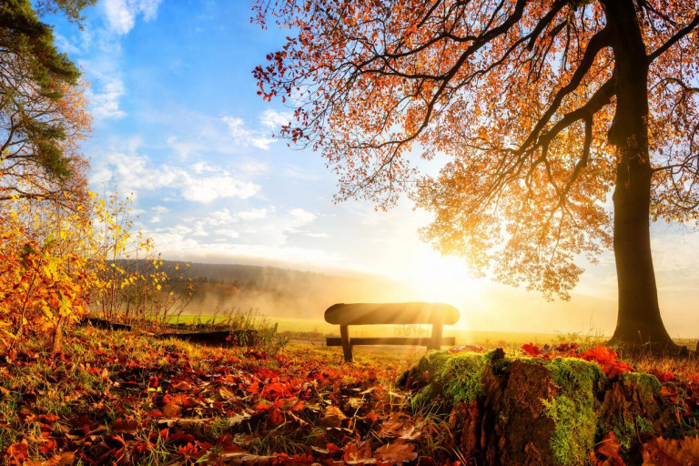 Ещё одна осень...