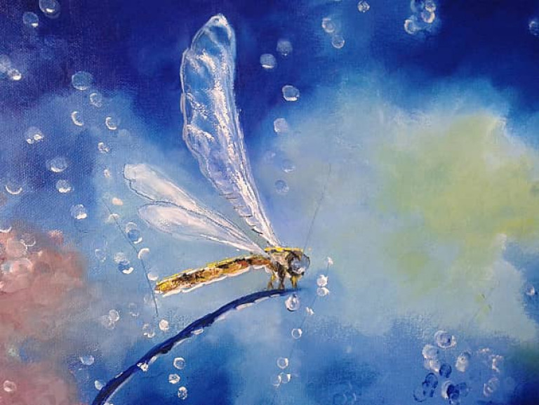 Февральские стрекозы