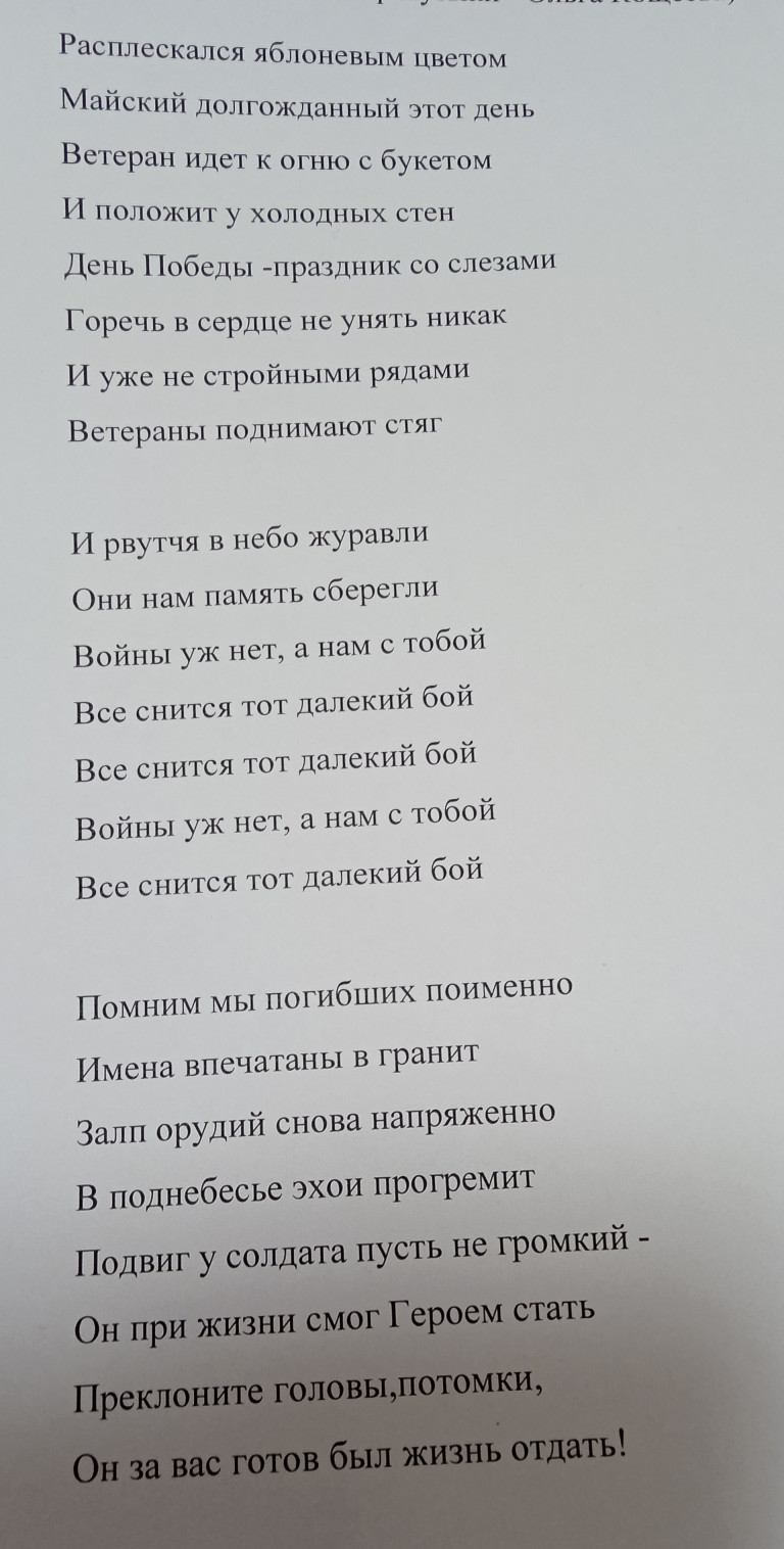 Песня ко Дню Победы"И рвутся в небо журавли"