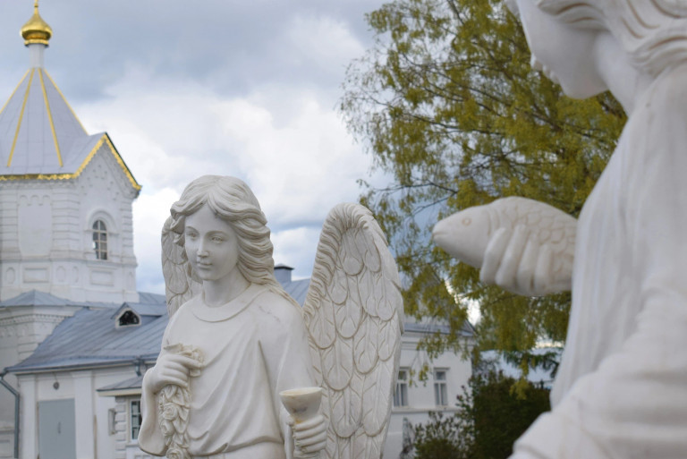 Дети и голуби снятся