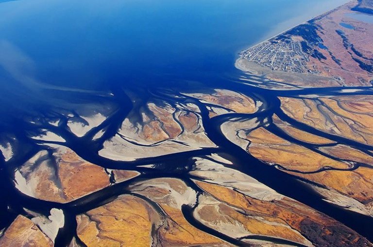 Все реки впадают в...