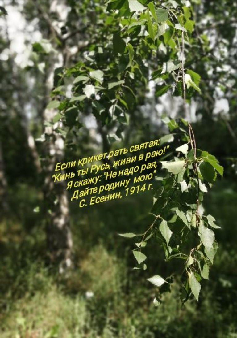 Ах, Россия-матушка!