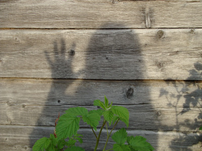 Настасья Вересень