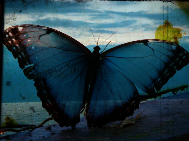 Эффект бабочки.