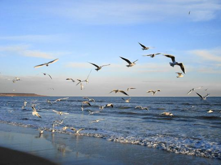 Старик у моря.