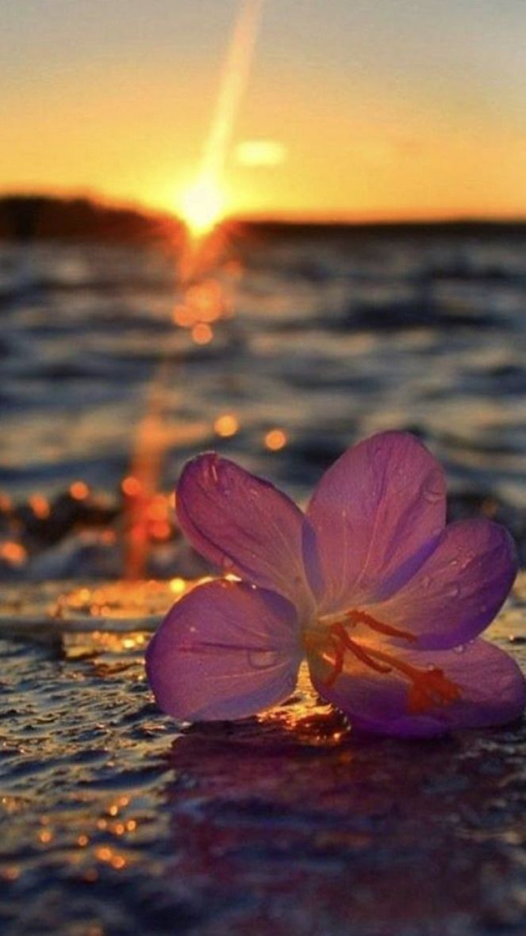 Для кого-то любить это значит прощать