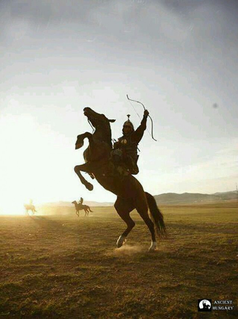 Степная свобода