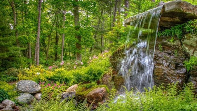 Родники, родники...