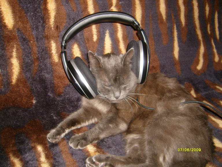 Предчувствие