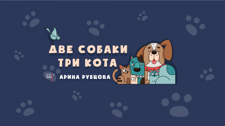 Две собаки три кота
