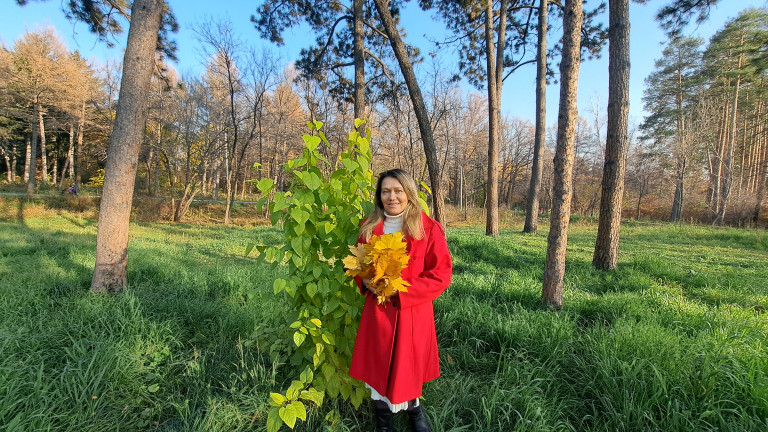 Гимн Родники