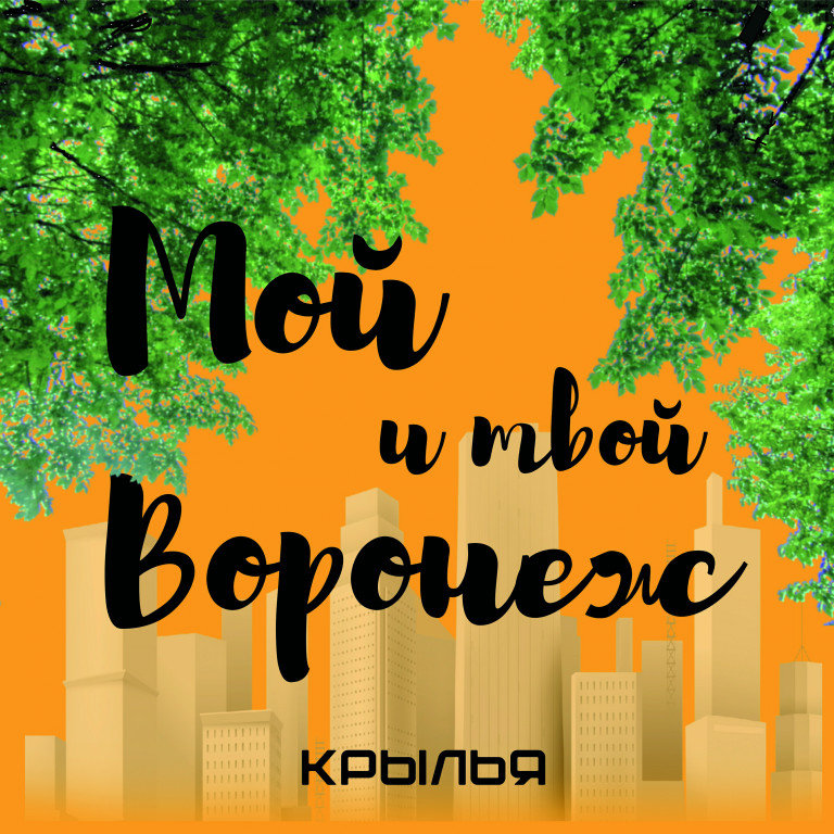 Крылья "Мой и твой Воронеж"
