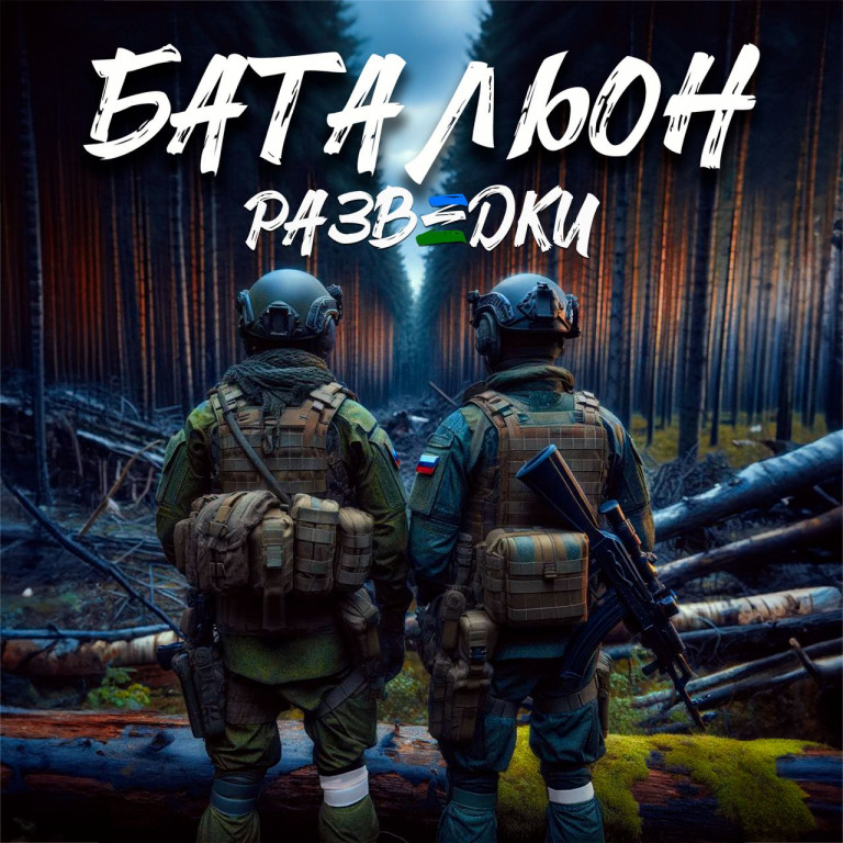 Батальон разведки по призыву