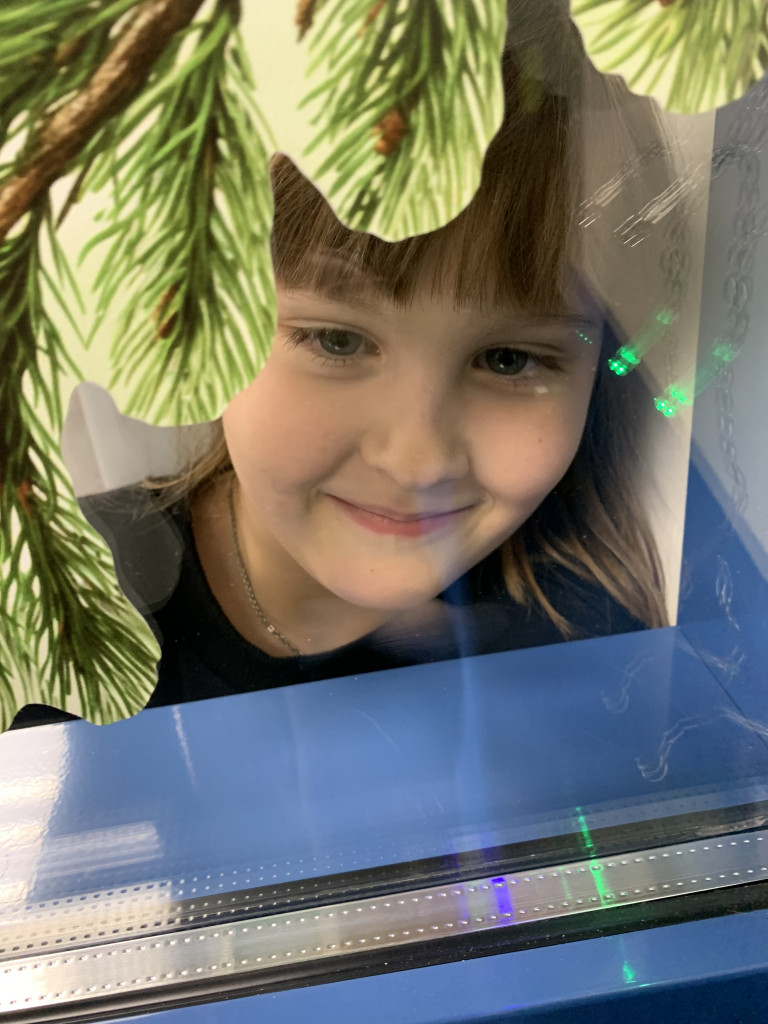 Лесная песенка