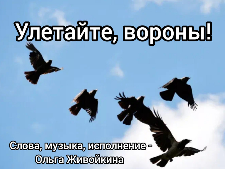 Улетайте, вороны!
