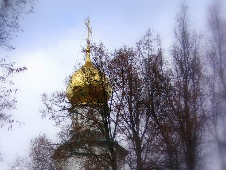 Вам Родина моя не хороша?