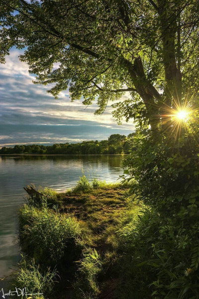 Не снятся мне цветные сны