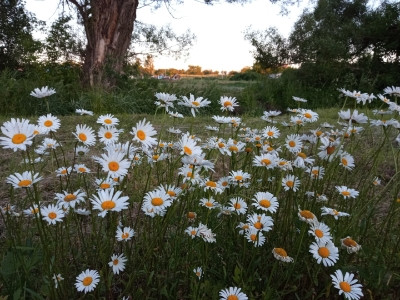 Что такое Россия?