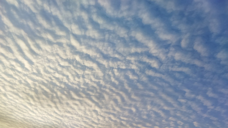 Да хранят тебя ангелы