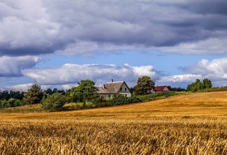 У дома родного