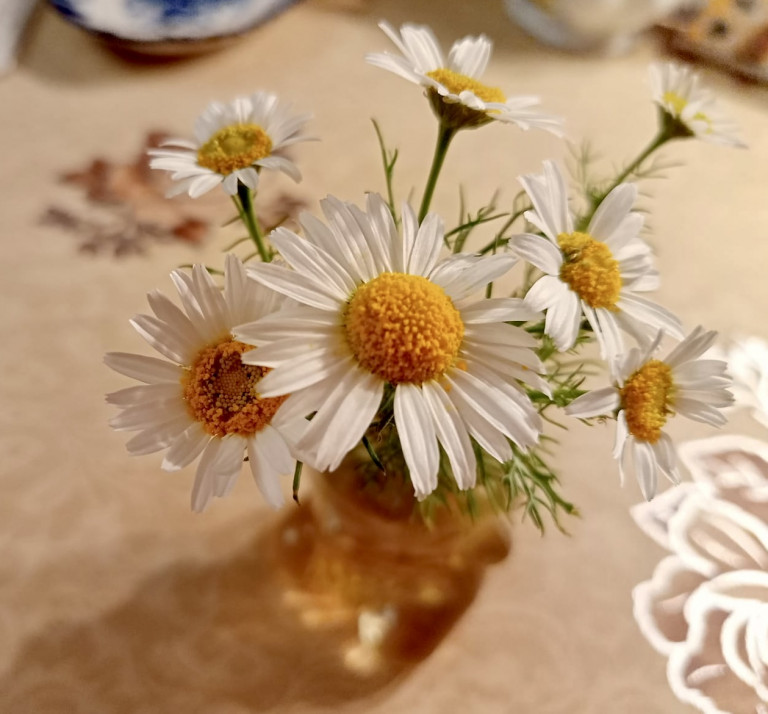 Я ВАС МОЛЮ!!!