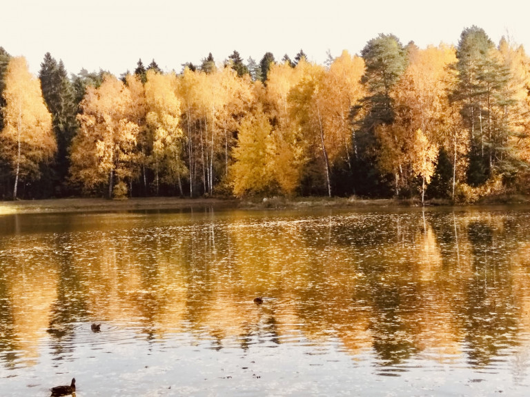 Осенний блюз