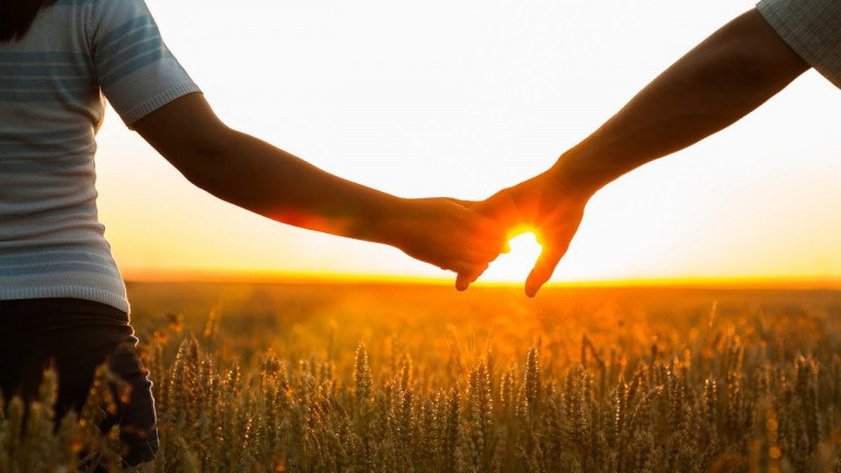 Не знаю черты твои милые (текст песни)