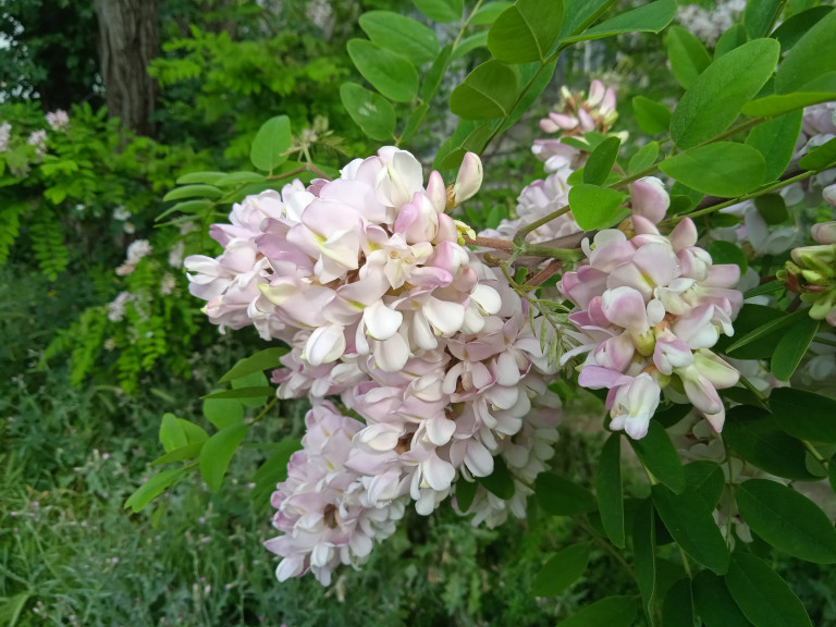 Июнь в России