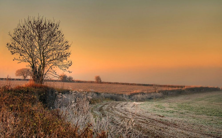 Поздняя осень (текст песни)